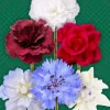 Best Sellers Boutonnieres Bundle