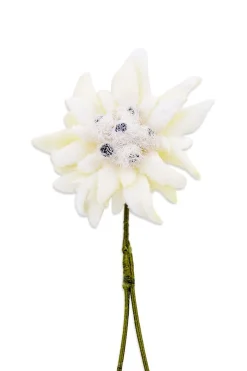 Best Sellers Boutonnieres Bundle