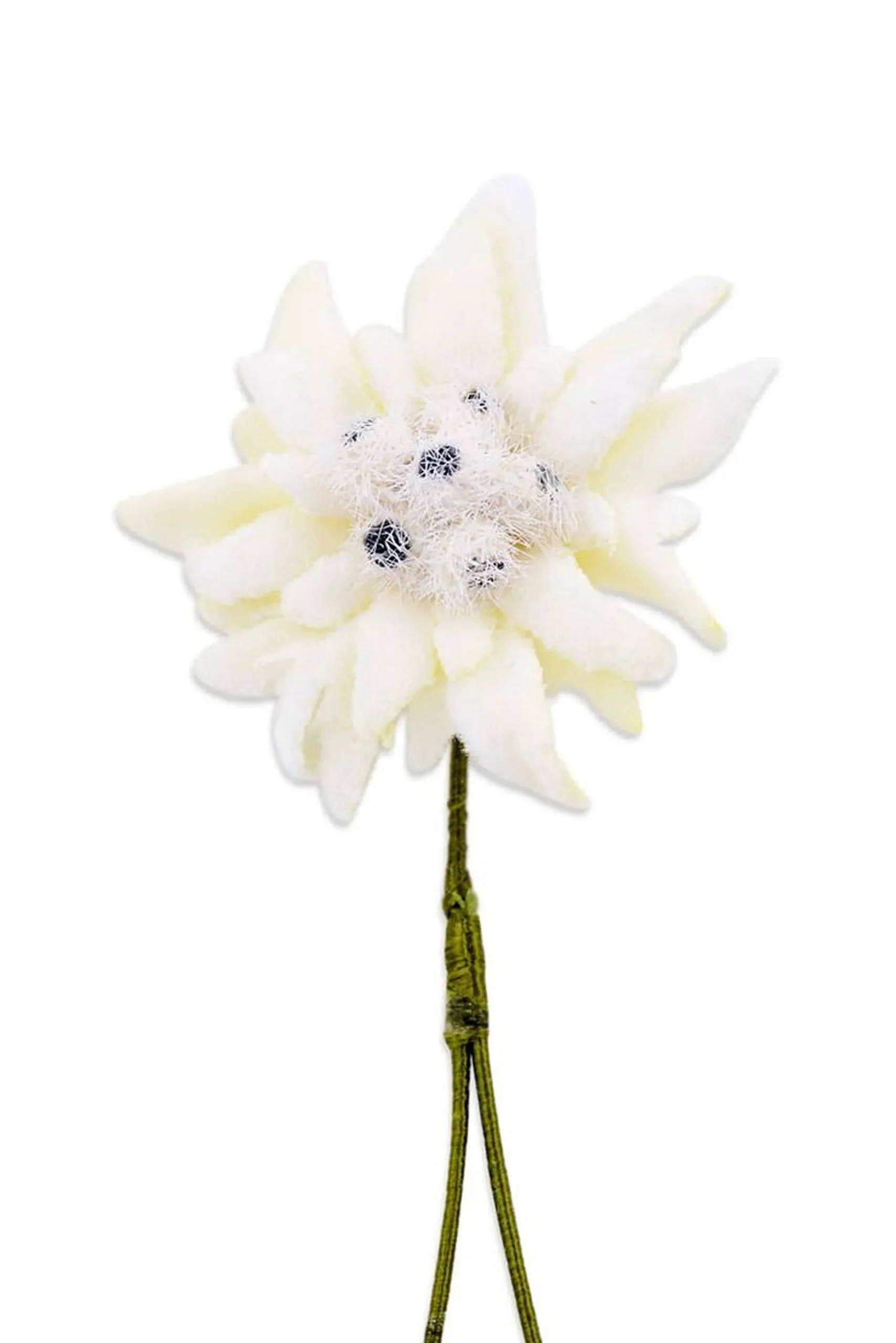 Best Sellers Boutonnieres Bundle