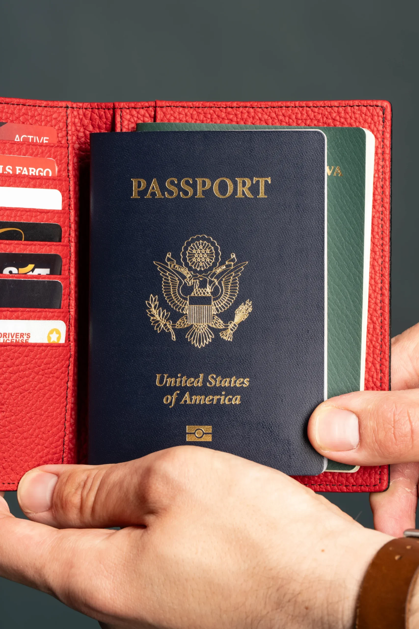 Black & Red Togo Leather Passport Holder