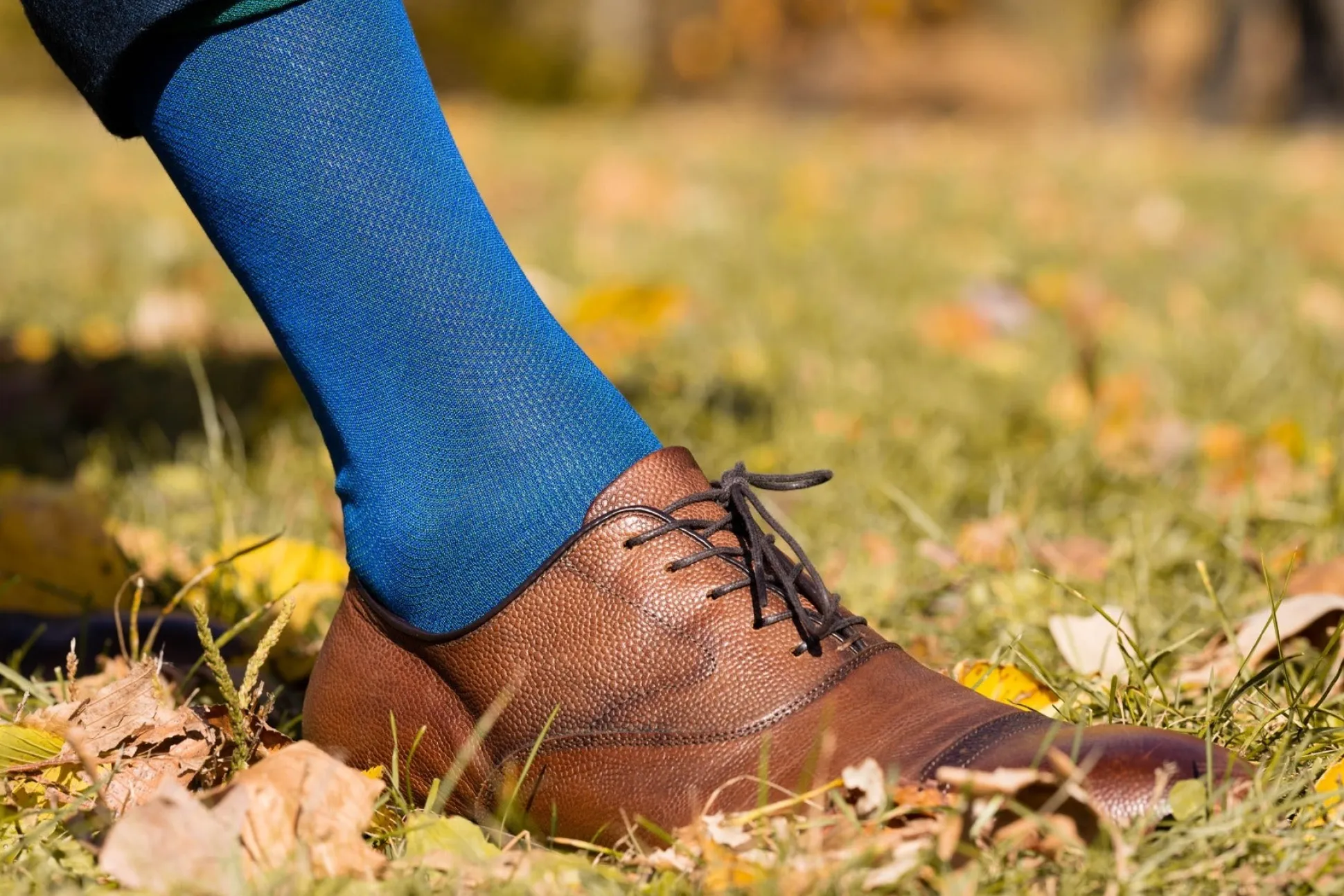 Blue & Malachite Green Two-Tone Cotton Socks