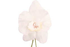 Champagne Orchid Boutonnière Flower