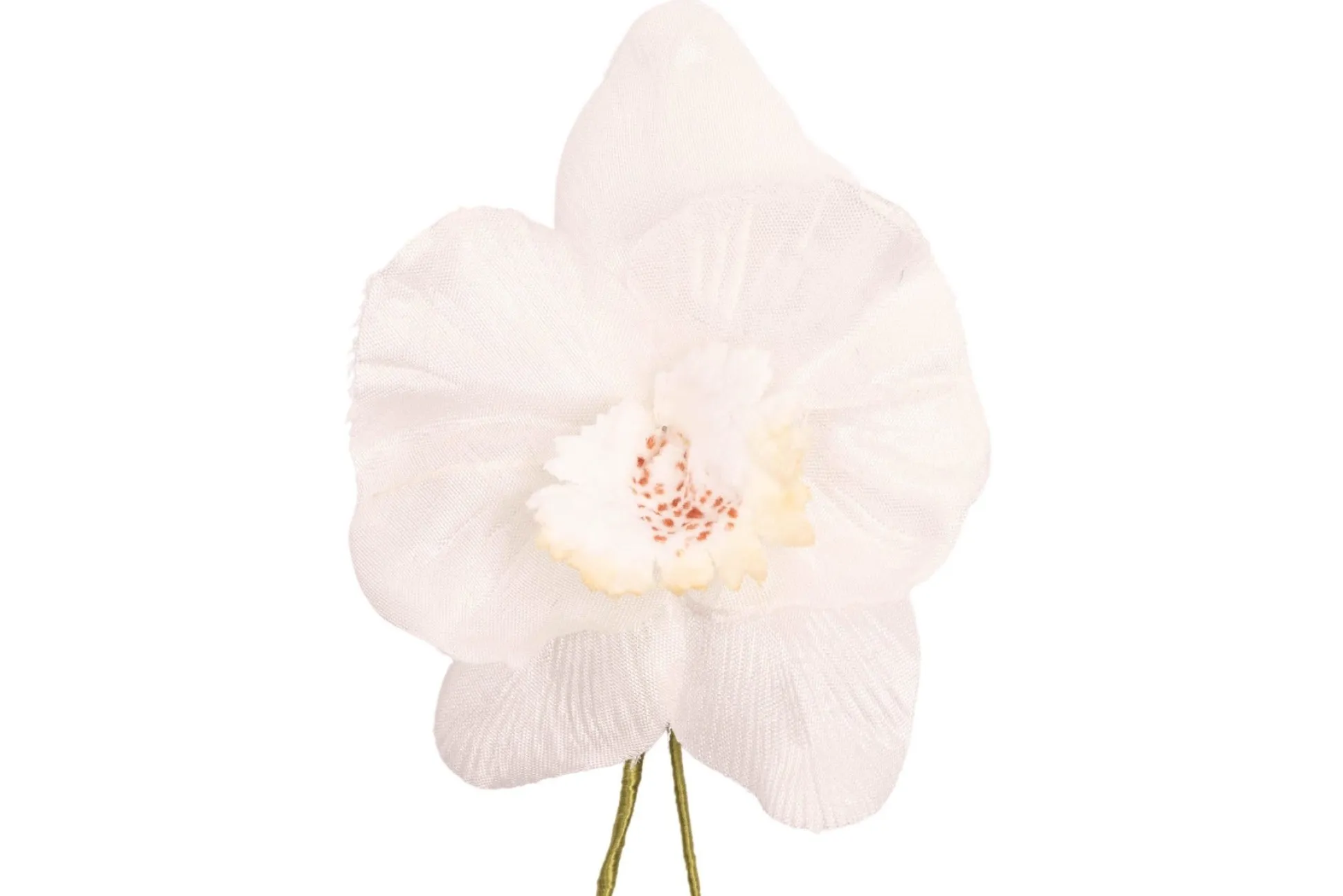 Champagne Orchid Boutonnière Flower