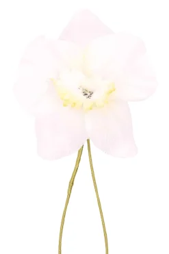Champagne Orchid Boutonnière Flower