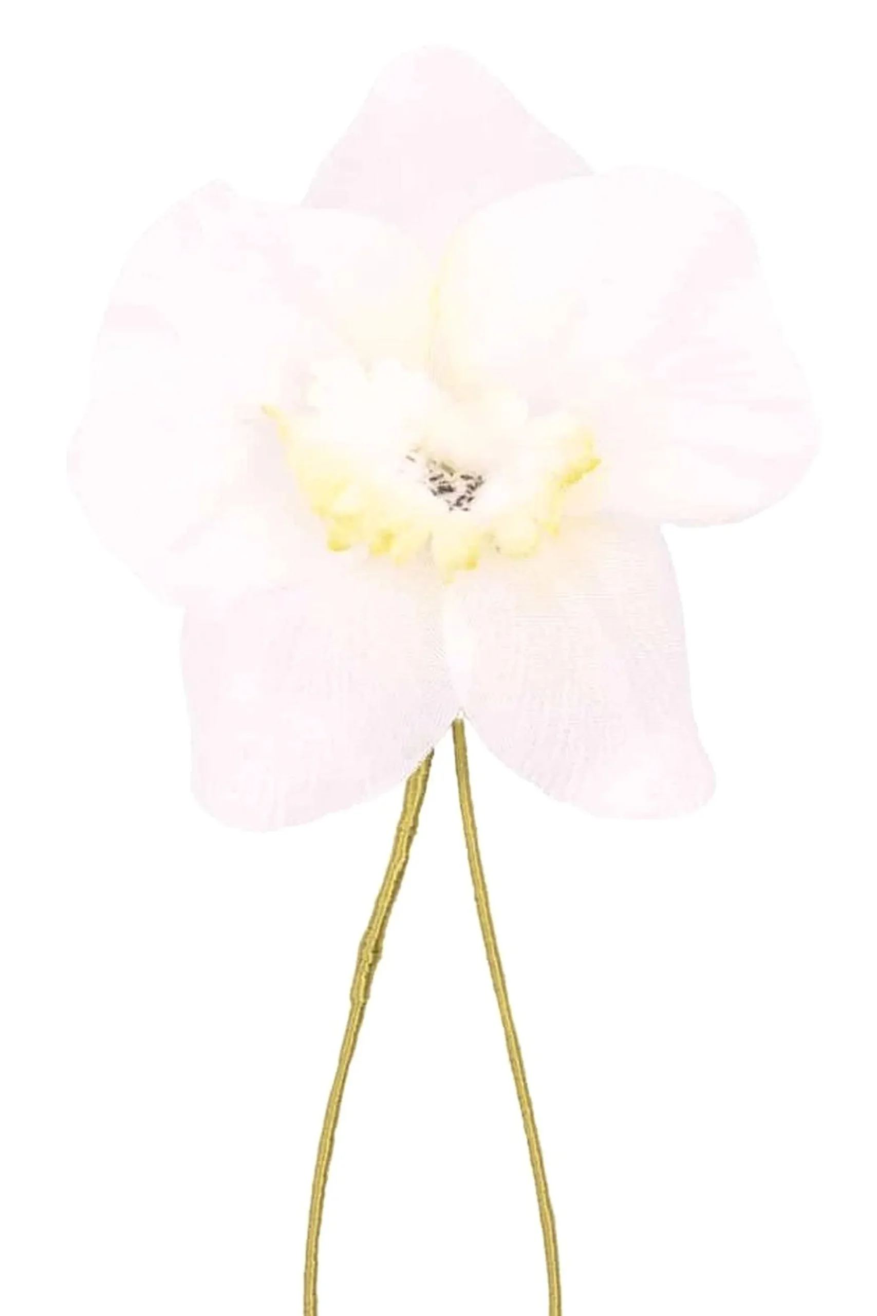 Champagne Orchid Boutonnière Flower