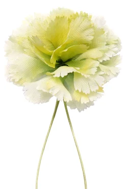 Dandy Gent Boutonnieres Bundle