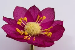 Dark Magenta Lotus Boutonnière Flower