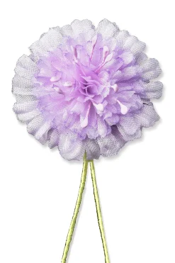 Field Scabious Boutonnière Flower