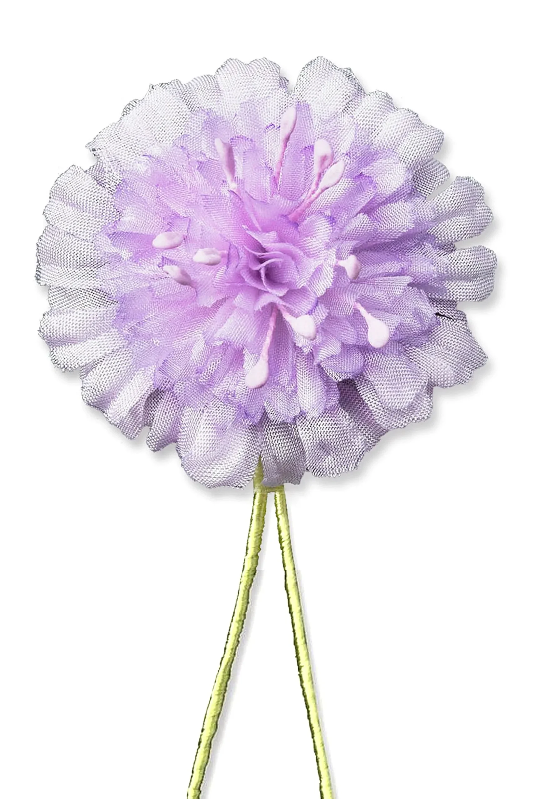 Field Scabious Boutonnière Flower