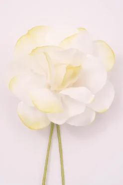 Gardenia Cream Boutonnière Flower