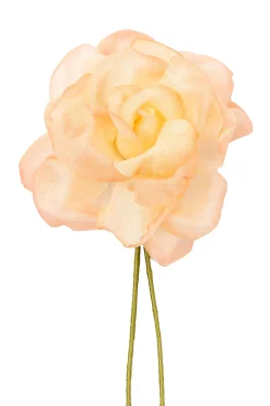 Heirloom Peach Spray Rose Boutonnière Flower