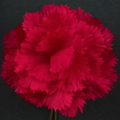 Life-Sized Dark Red Carnation Boutonnière Flower