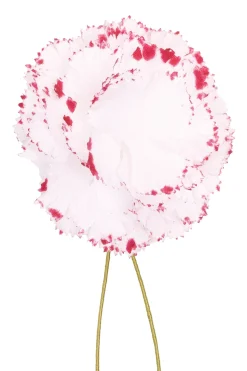 Life-Sized Magenta-Edged White Carnation Boutonnière