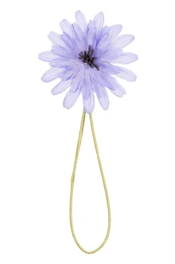 Light Blue Chicory Boutonnière Flower