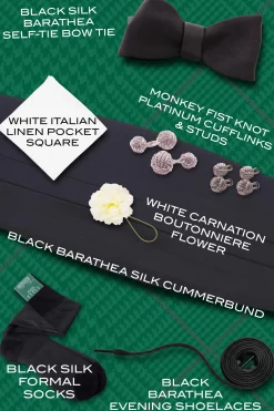 Luxury Black Tie Bundle with Platinum Accessories