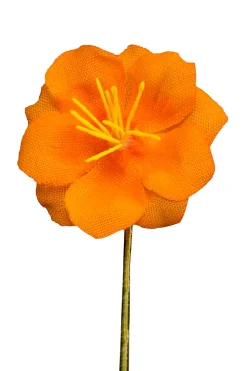 Orange Exotic Caribbean Boutonnière Flower