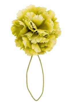 Oscar Wilde Pale Green Mini Carnation Boutonnière Flower
