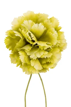 Oscar Wilde Pale Green Mini Carnation Boutonnière Flower