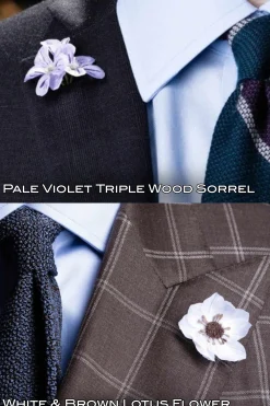 Raphael's Private Garden: 30 Boutonnieres