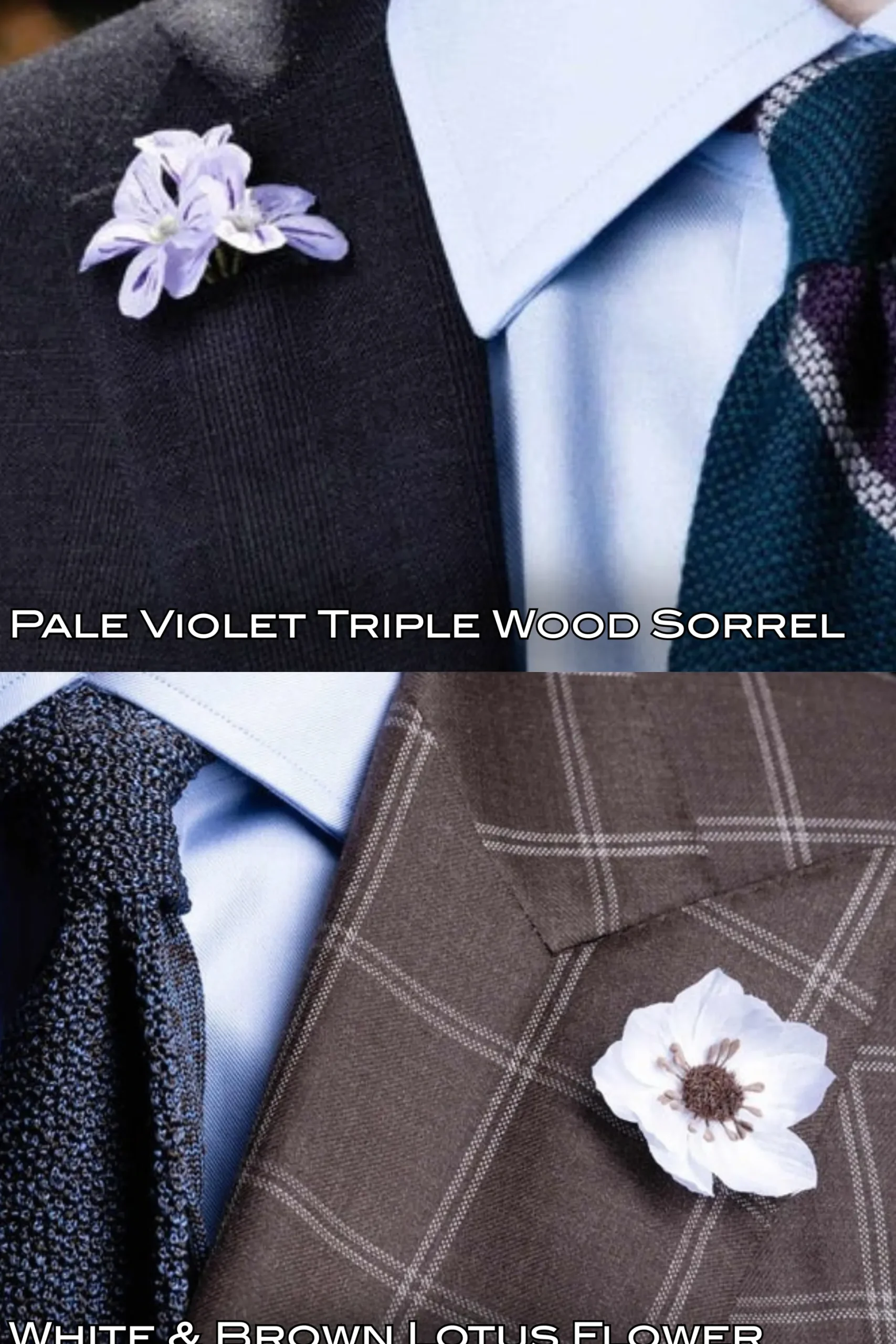 Raphael's Private Garden: 30 Boutonnieres