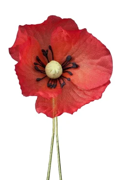 Red Poppy Remembrance Day Boutonnière Flower
