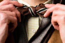 Shantung Silk Striped Two Tone Bow Tie Brown, Green White