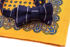 Sunflower Orange Small & Large Paisley Silk Pocket Square