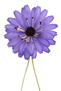 Violet Marguerite Silk Boutonnière Flower