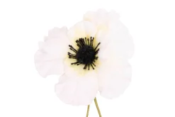 White Anemone Boutonnière Flower