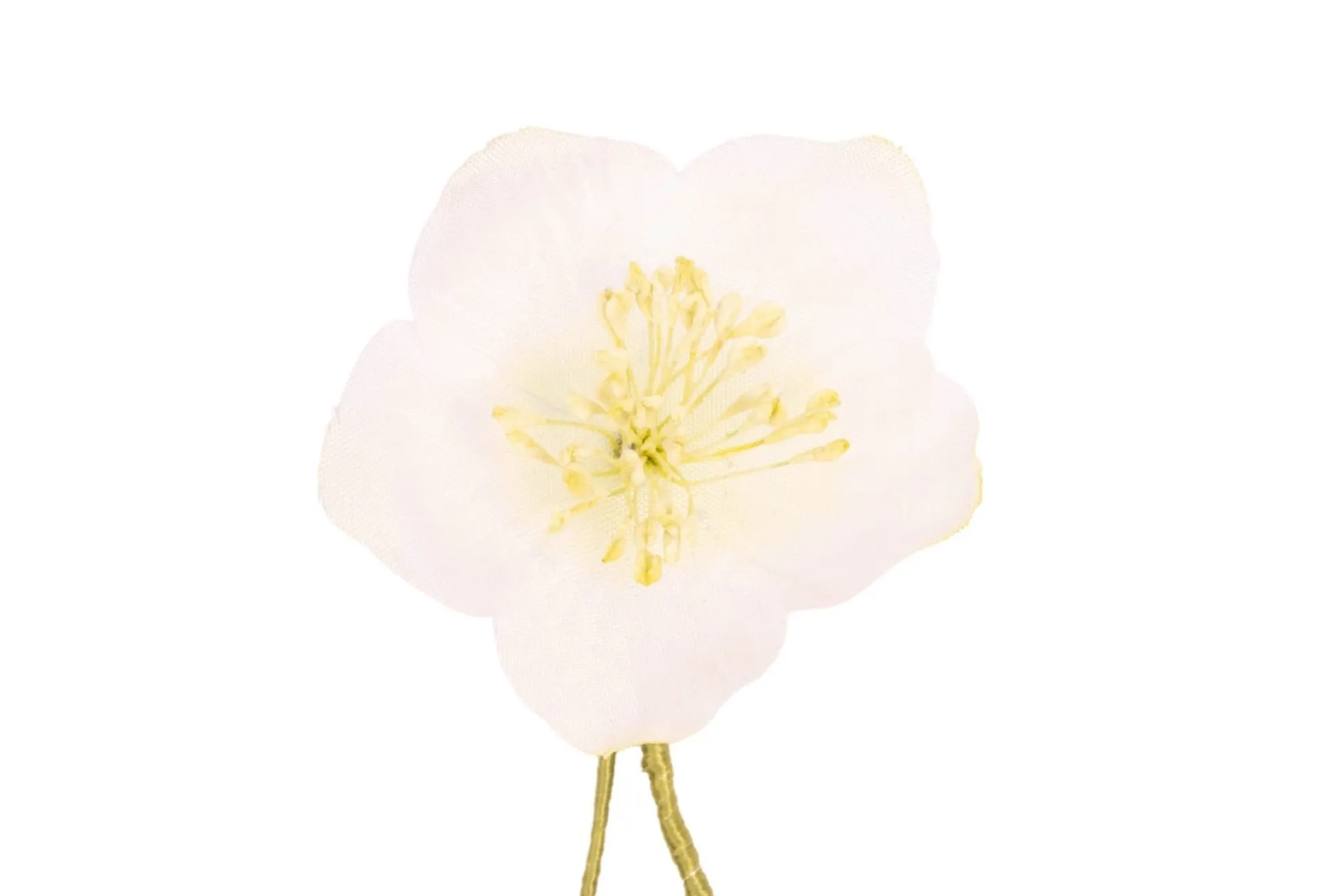 White Christmas Rose Boutonnière Flower