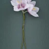 White Ixia Boutonnière Flower