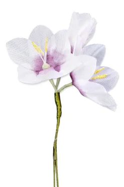 White Ixia Boutonnière Flower