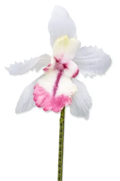 White Orchid Boutonnière Flower