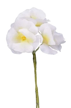 White Phlox Boutonnière Flower