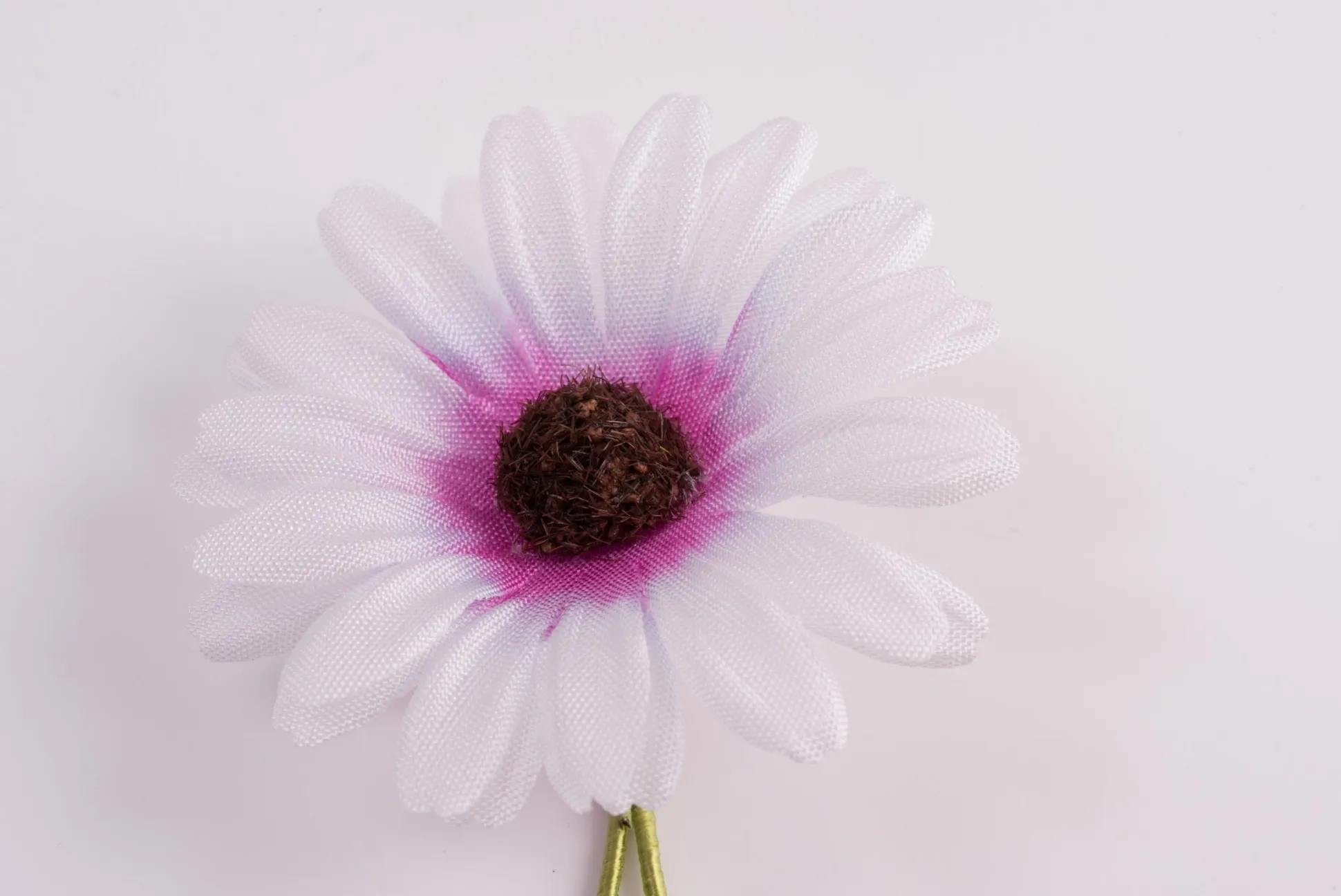 White & Pink Marguerite Boutonnière Flower